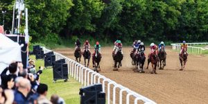 Horse racing finish line