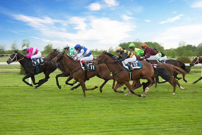 Horses Racing on Grass