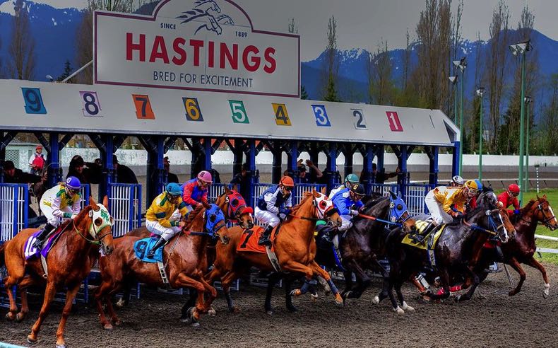 A race at Hasting Racecourse