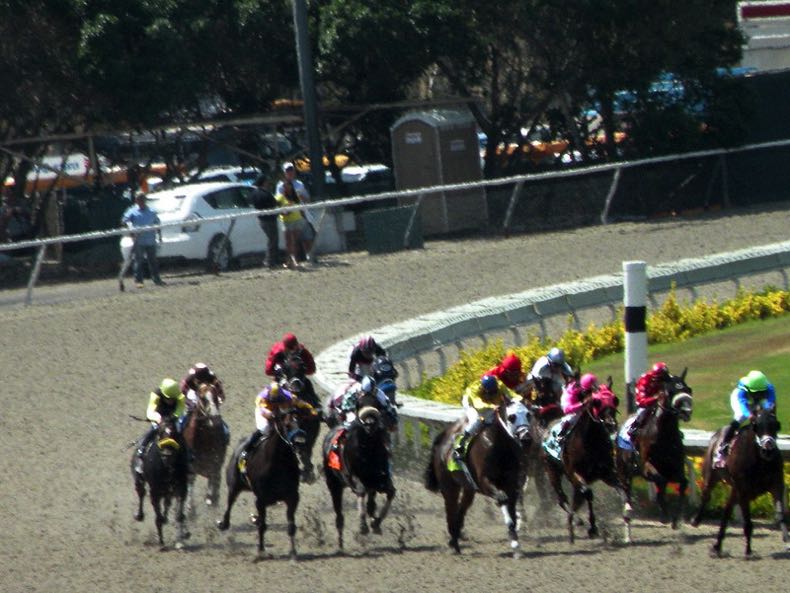 Horse racing in Del Mar, California